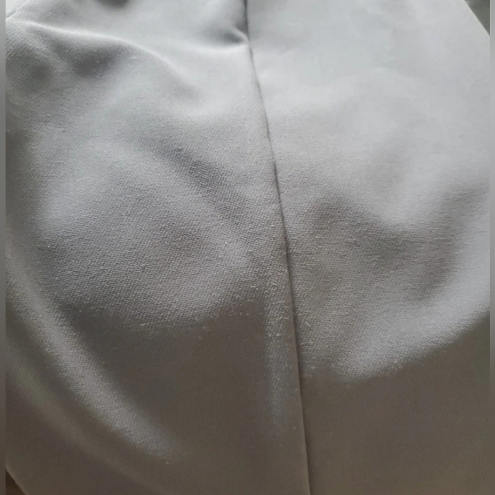 Express Dress Pants - Picture 6 of 13